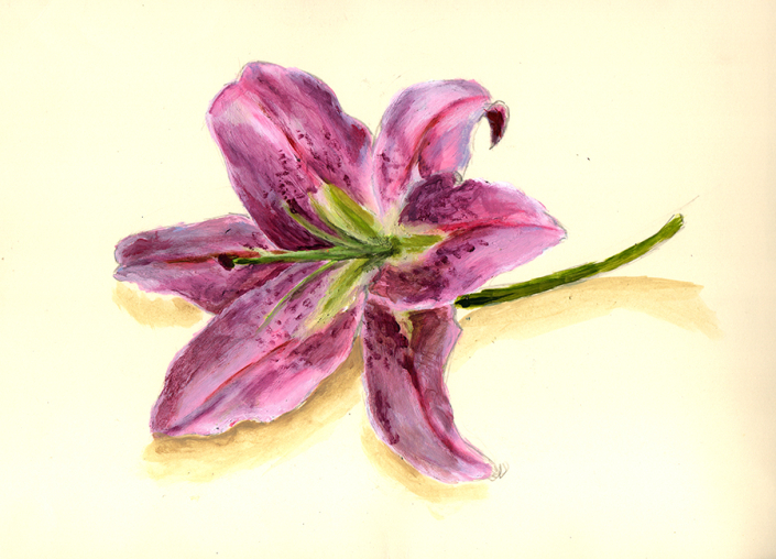 Lys Peinture de Lys par Rosita Bianco